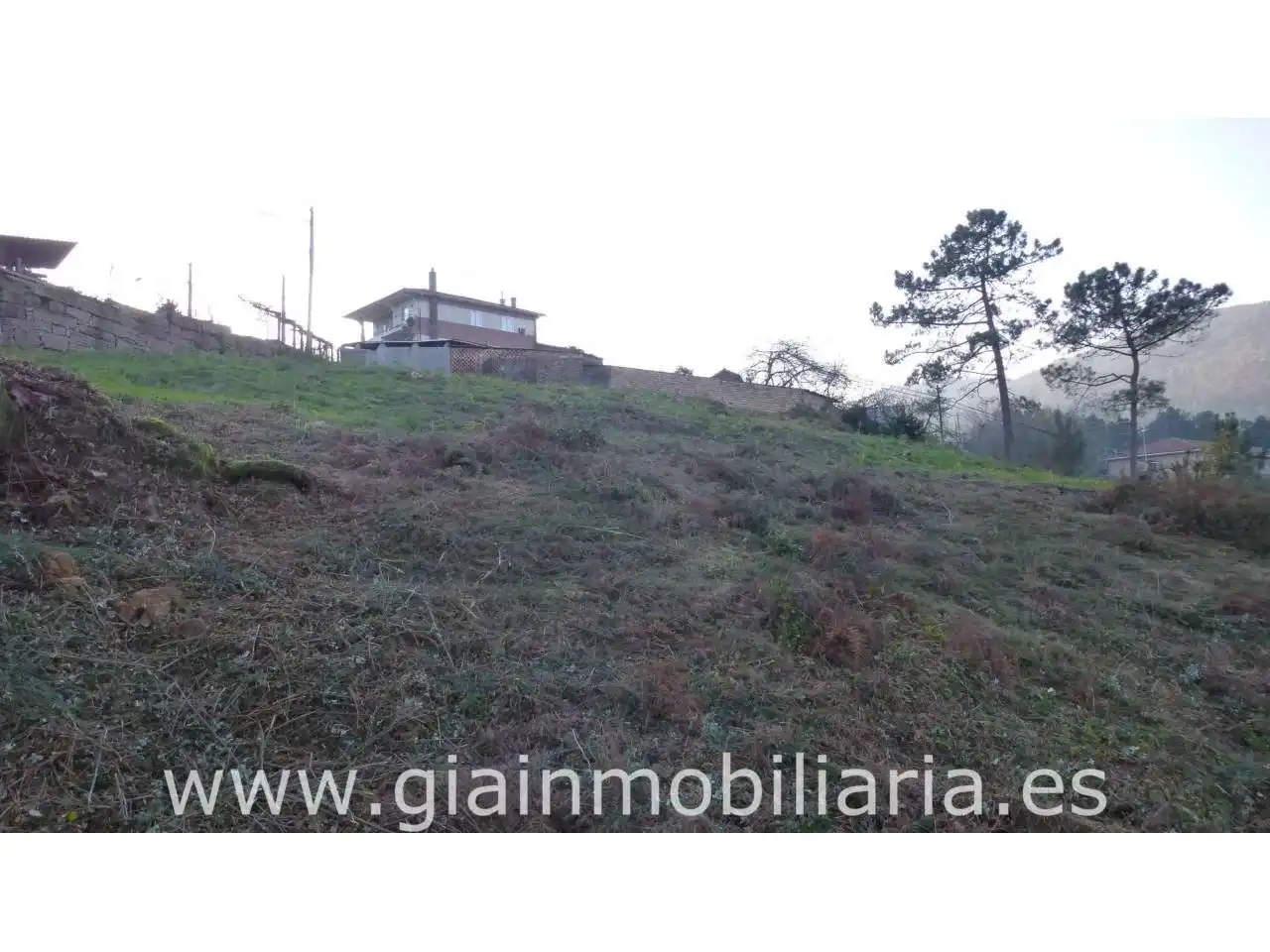 Terreno rústico en venta en Calle REBORDANES, imagen 4