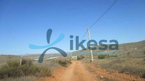 Venta de Suelo Rústico en Loma Pelada, localidad de Níjar  Almería, immagine 3