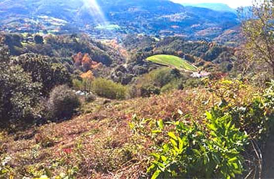 Exterior view of Residential for sale in Cercedilla