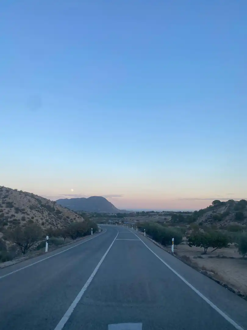 Land for sale in Camí de l'Alcoraia, 21, Cañada del Fenollar