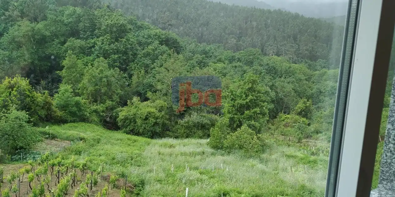 Casa o chalet en venta en Castrelo de Miño con Calefacción y Amueblado