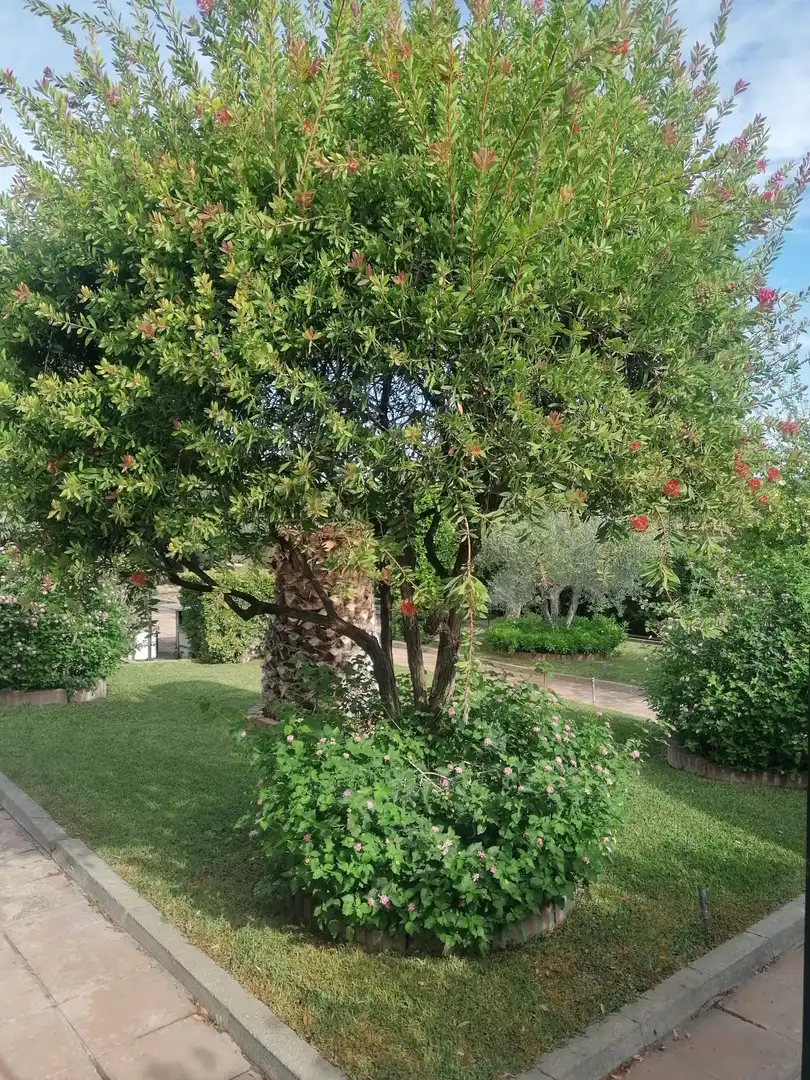 Villa mit Pool zum Verkauf in La Carlota, imagen 13
