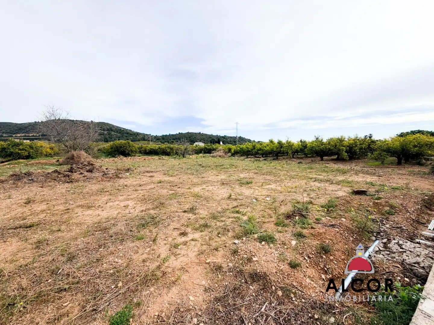 Country house for sale in Alcanar, imagen 18