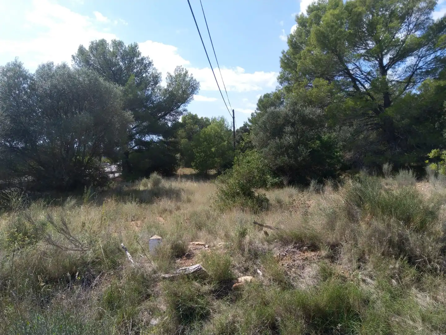 Terreny residencial en venda a Proc. Simplificado, imagen 6