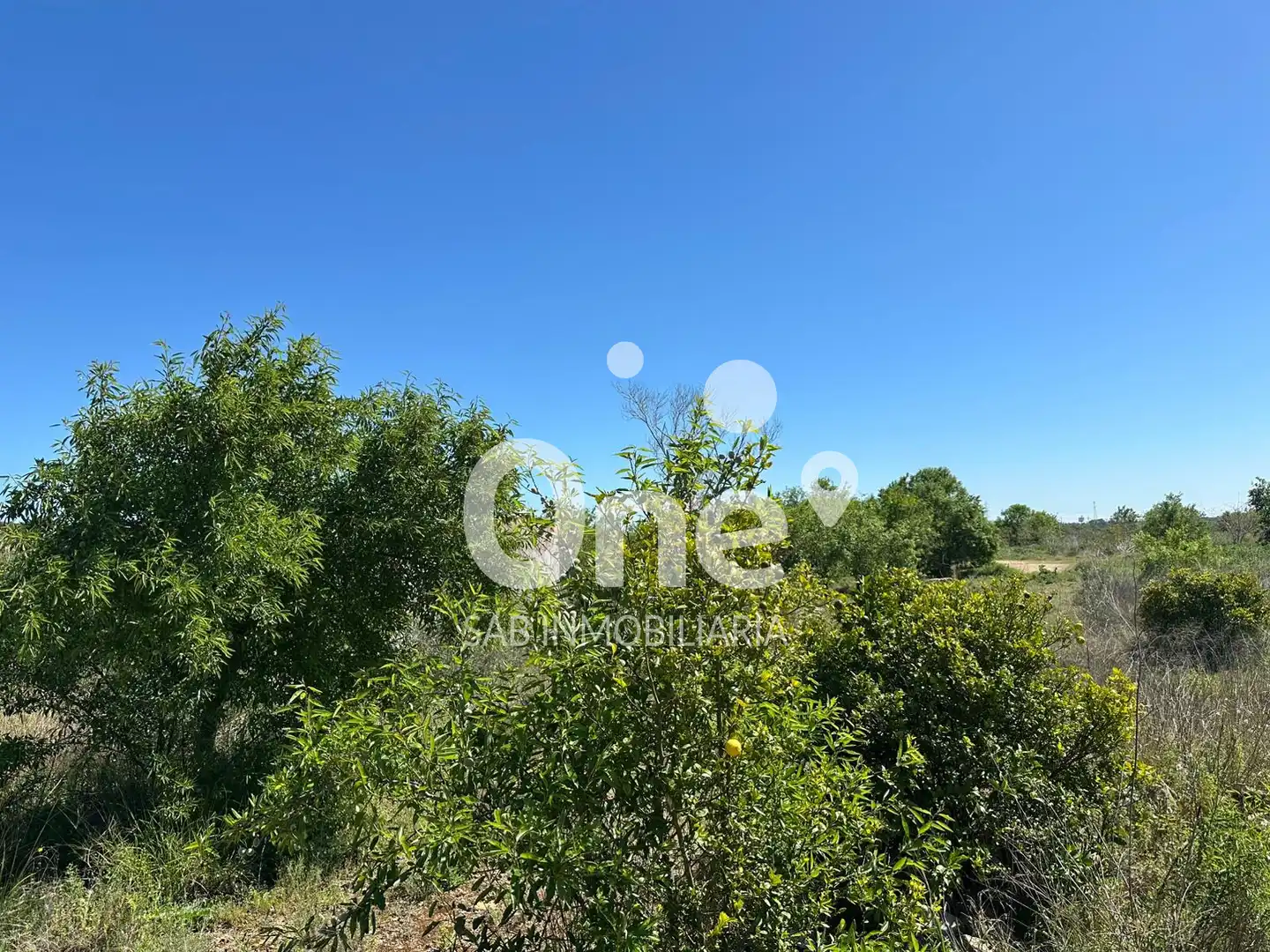 Terrain rustique à vendre à Diseminado-san Ant Benag 29, imagen 9