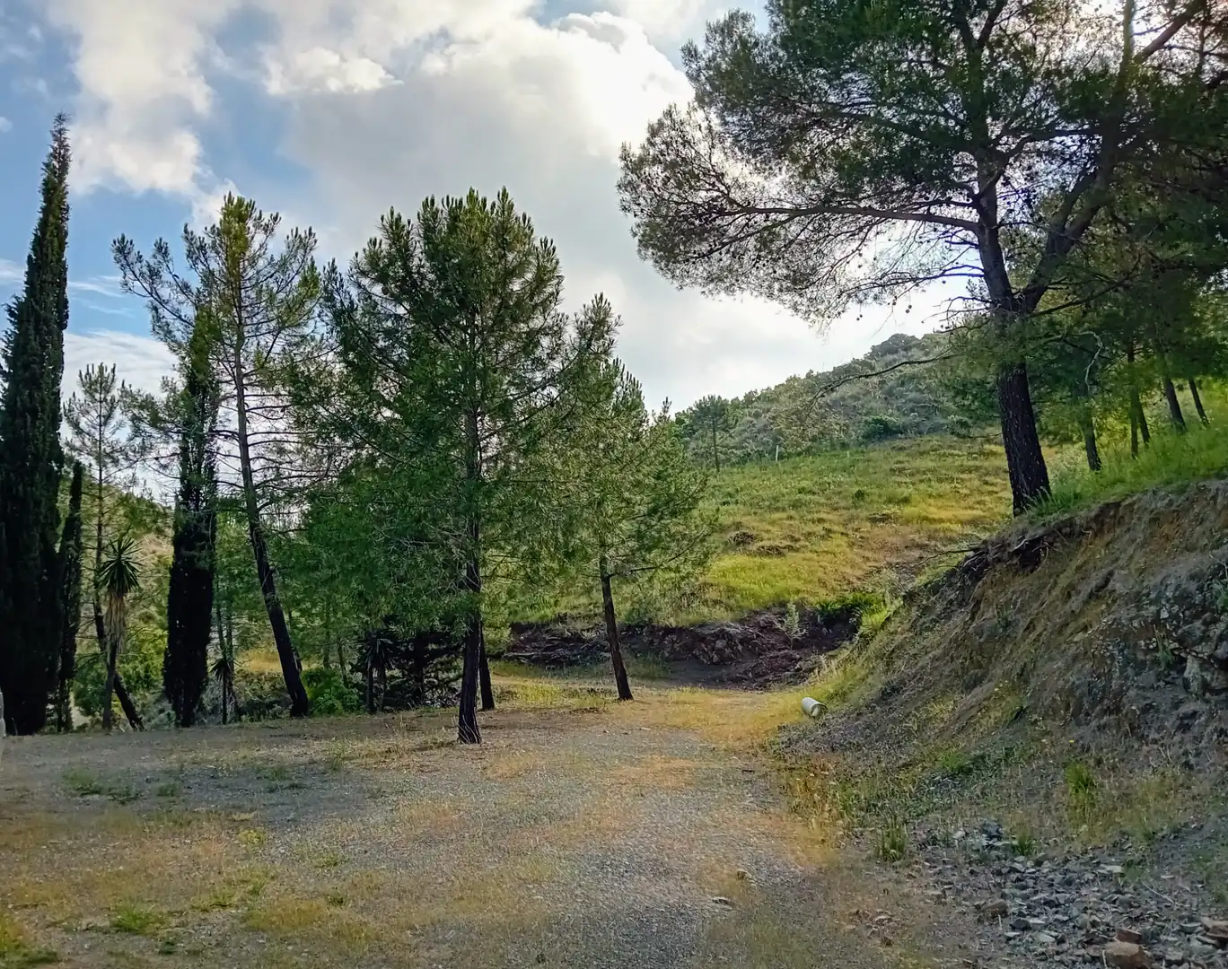 Terreno rustico in vendita a Monda, imagen 5