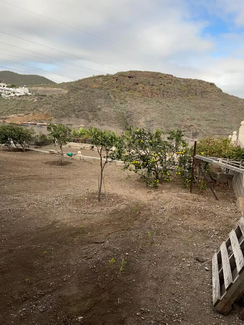 Jardín de Nave industrial en venta en Las Palmas de Gran Canaria