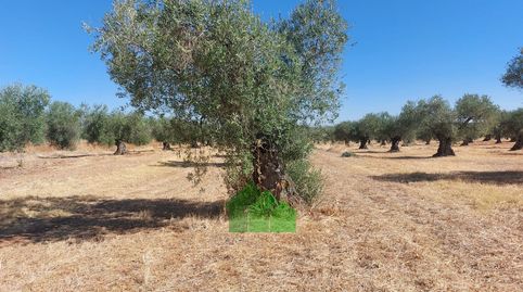 Foto 4 von Residential zum Verkauf in Montijo, Badajoz