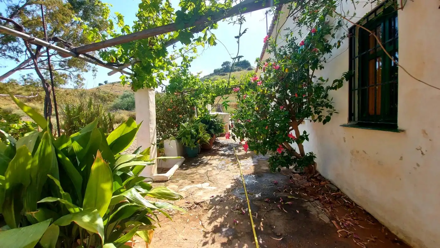 Garden of Country homes for sale in Mijas  with Private garden