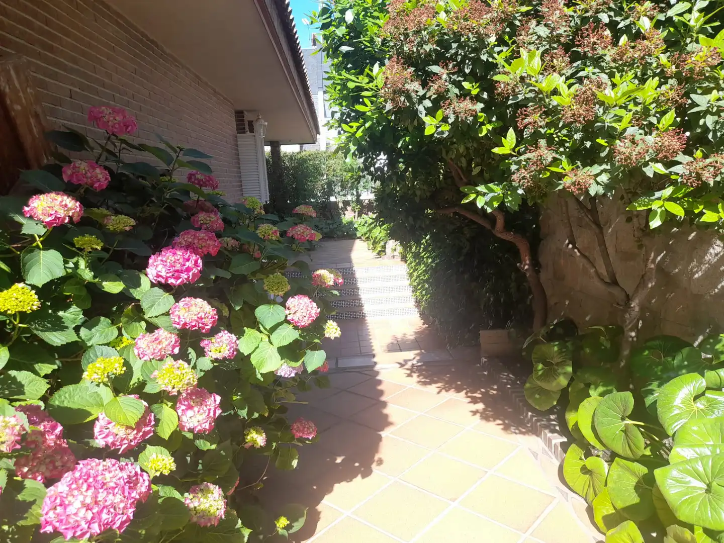 Jardín de Casa adosada en venta en Pozuelo de Alarcón con Aire acondicionado, Calefacción y Jardín privado