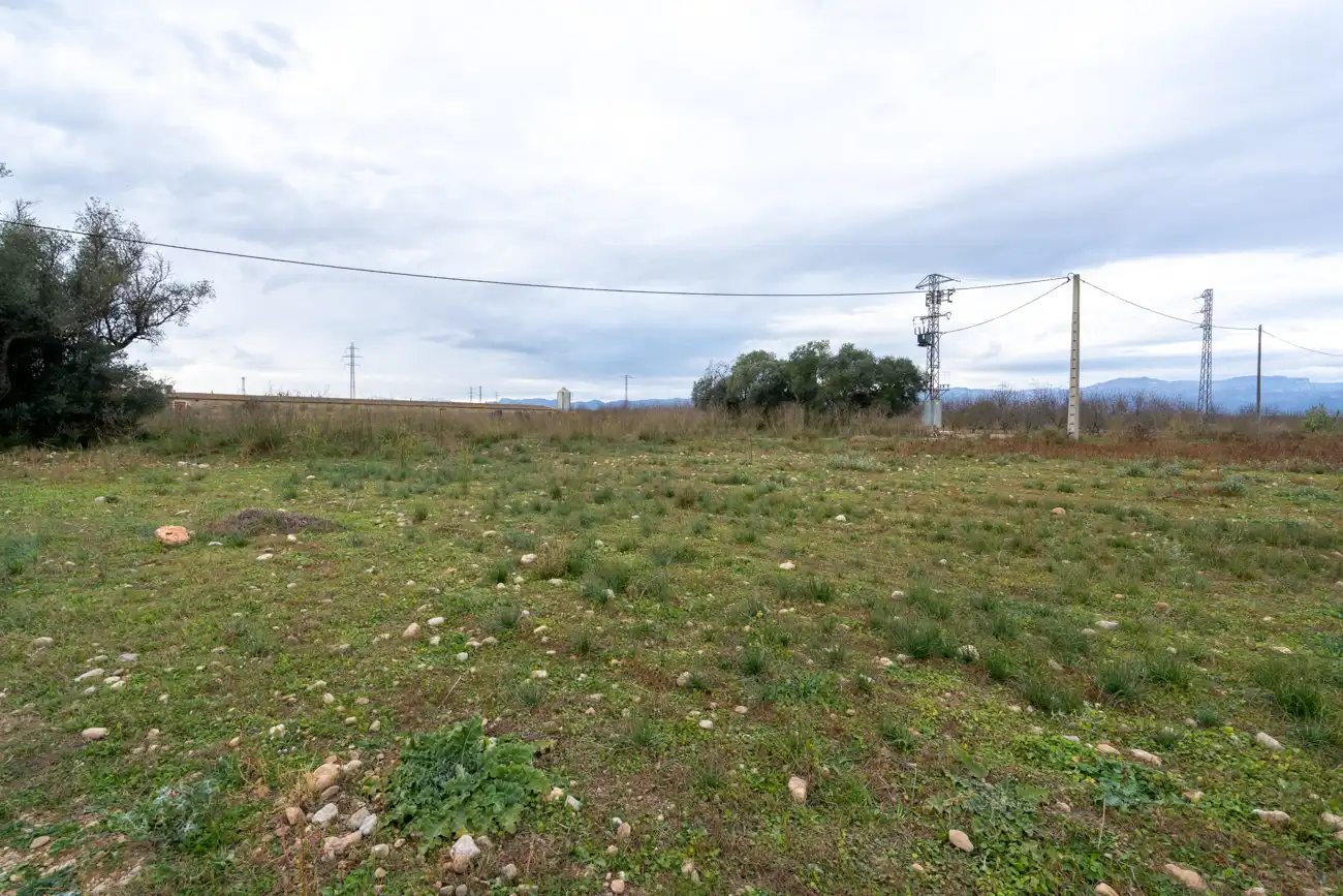 Rural land for sale in Ulldecona, imagen 11