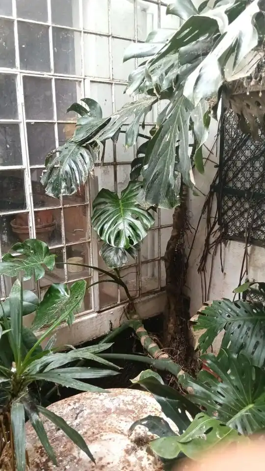 Wohnung zum Verkauf in Casco Antiguo, imagen 4