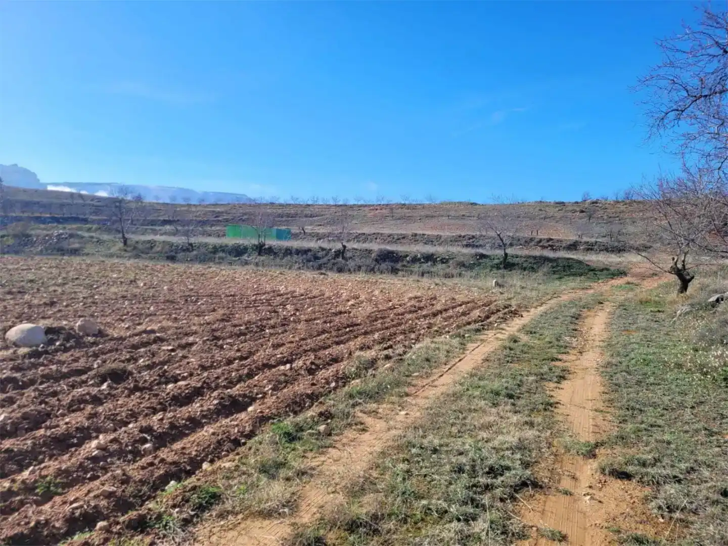 Terreno en venta en Torralba de Ribota
