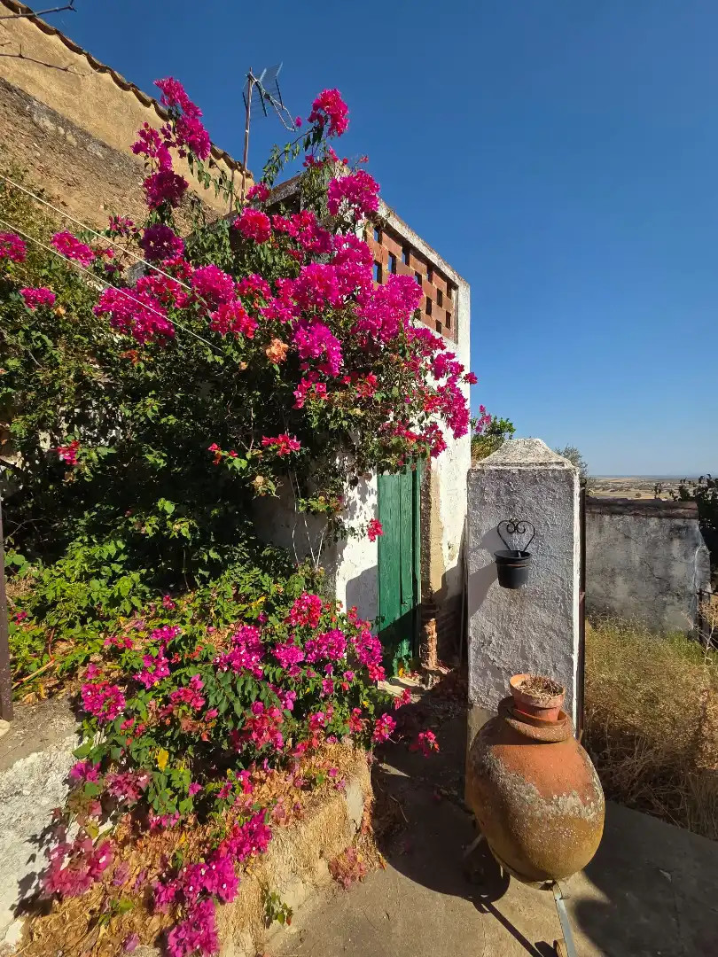 Casa adosada en venta en Calle San Cristóbal, Nogales
