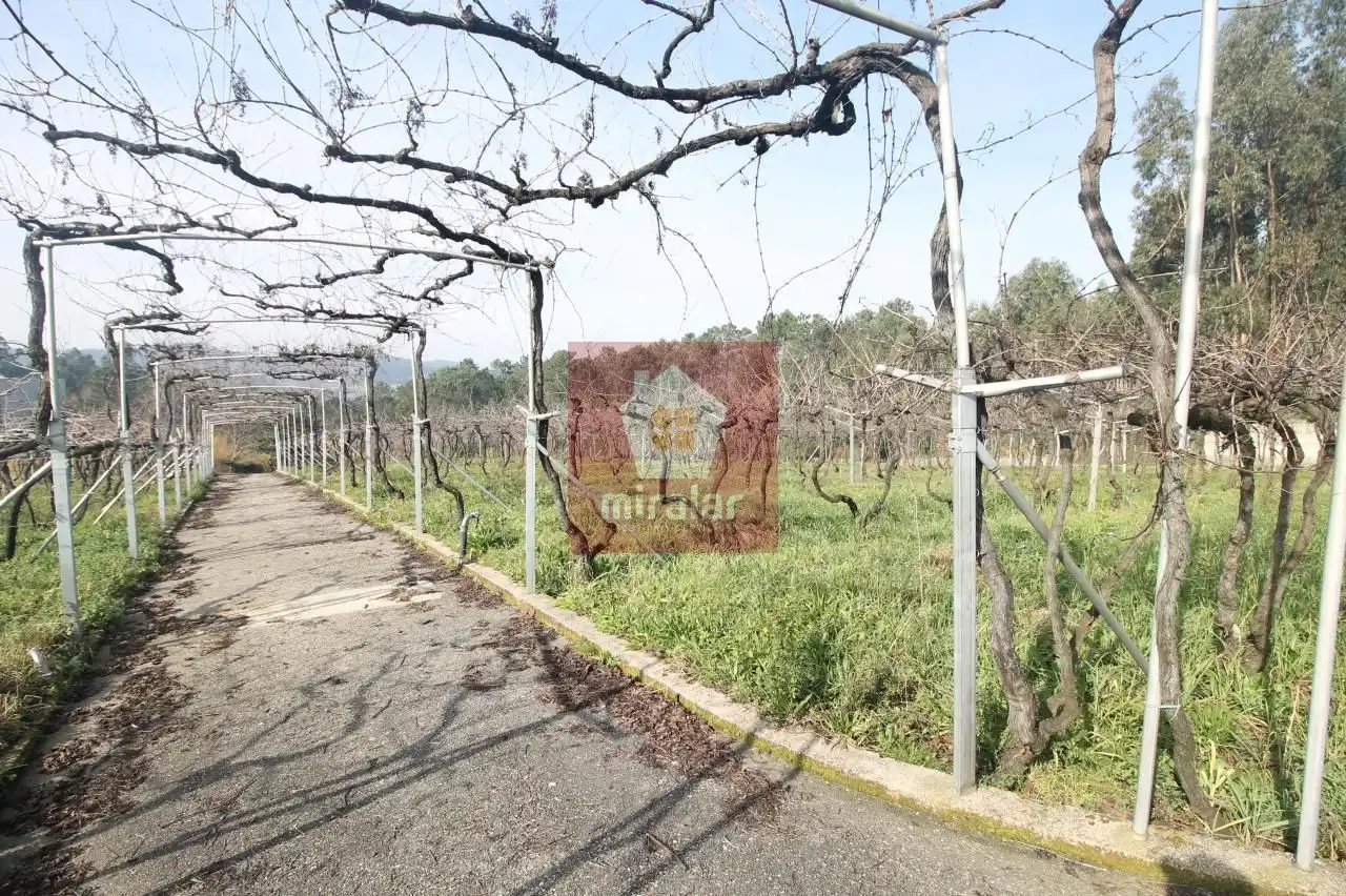 Terreny residencial en venda a Salvaterra de Miño, imagen 2