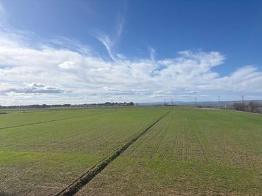 Rural land for sale in Almacelles