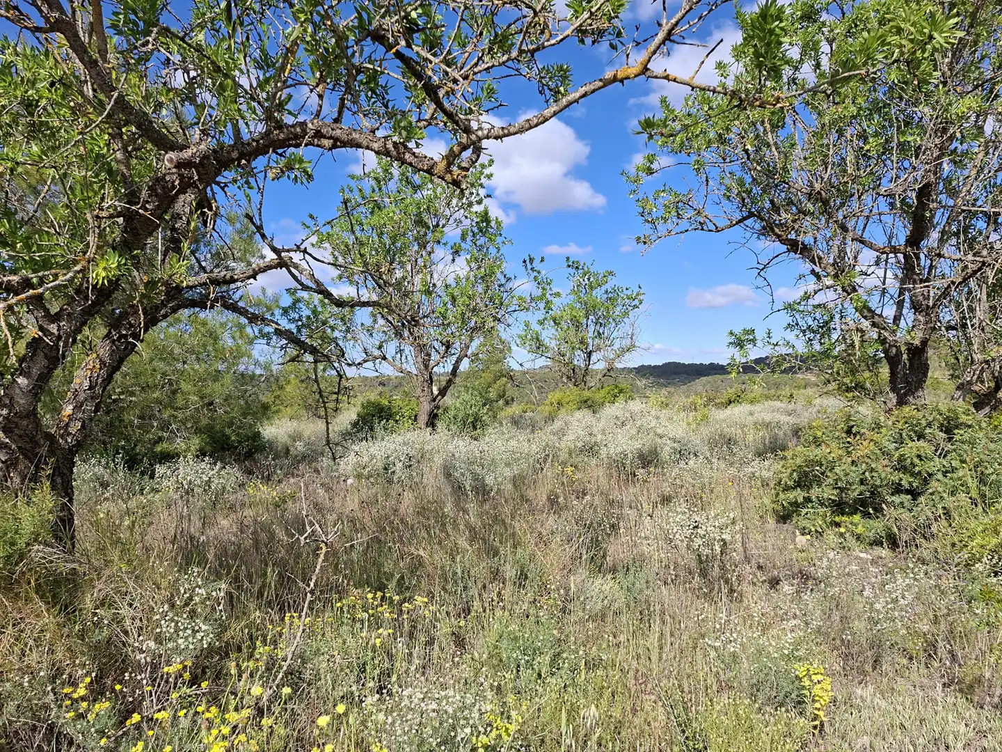 Finca rústica en venta en Vilalba dels Arcs