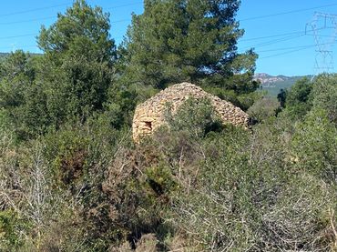 Terrain rustique à vendre à El Pont d'Armentera