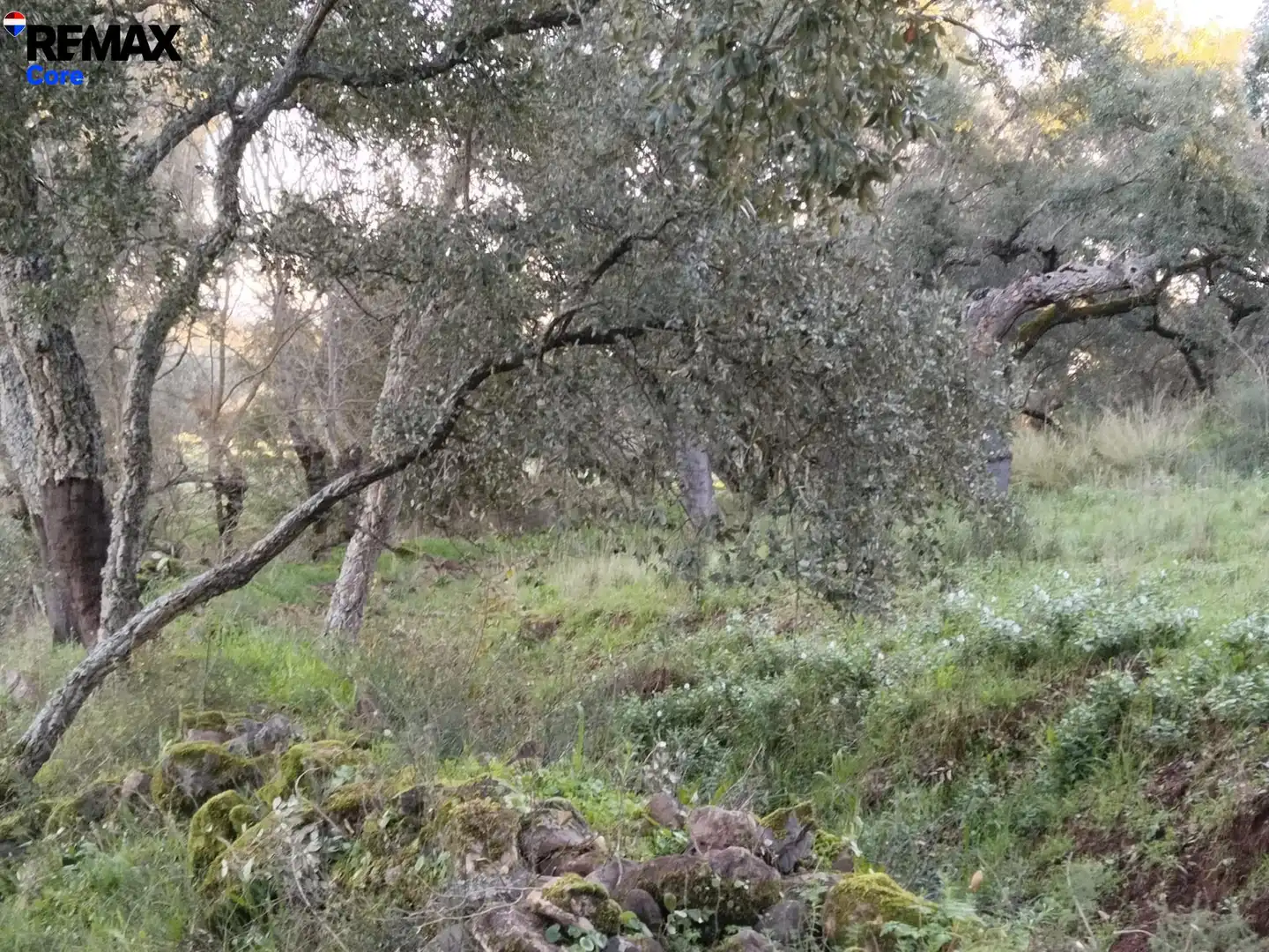 Terreni e lotti in vendita a Jerez de los Caballeros, imagen 2