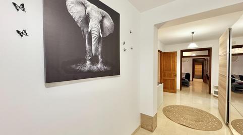 Photo 3 of Planta baja for sale in Carrer Sinia Dels Frares, de la, Manacor Centre, Illes Balears