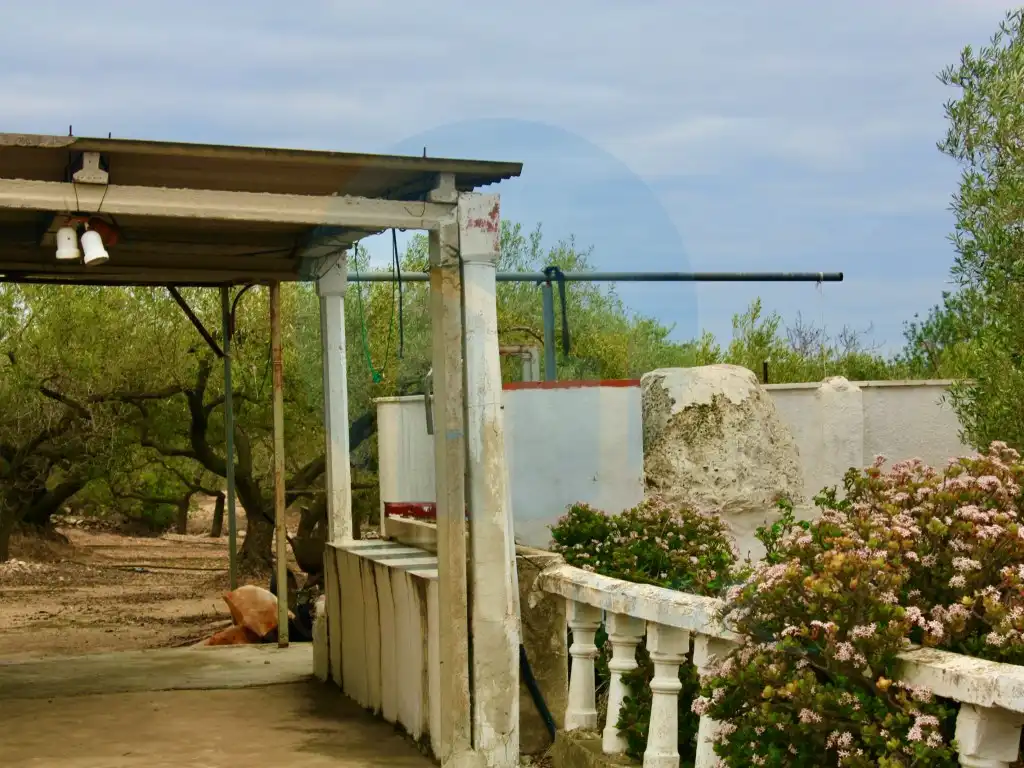 Jardín de Finca rústica en venta en L'Ampolla