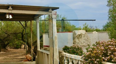 Foto 4 de Finca rústica en venta en Furoner, L'Ampolla, Tarragona