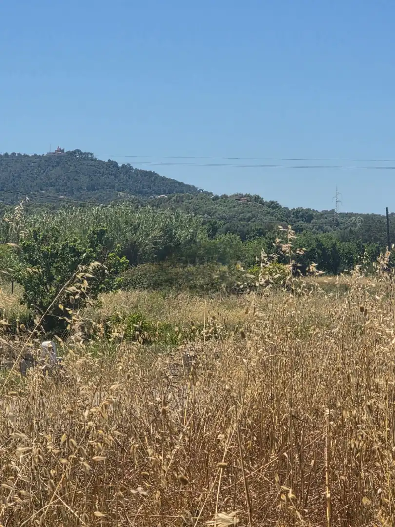 Terreno en venta en Petra