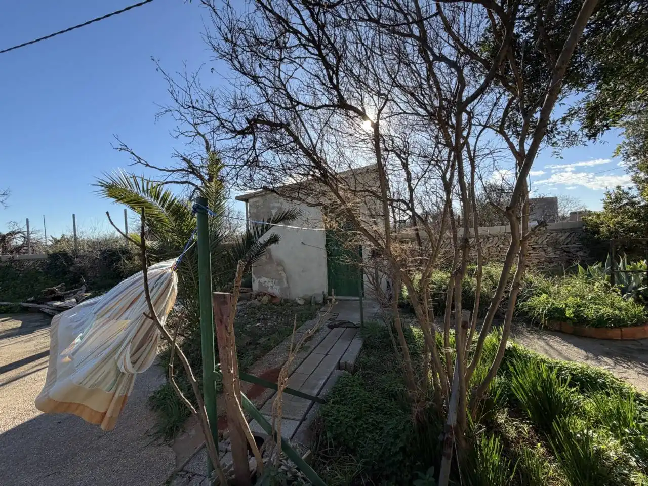 Jardí de Casa o xalet en venda en Castellón de la Plana / Castelló de la Plana amb Jardí privat i Terrassa
