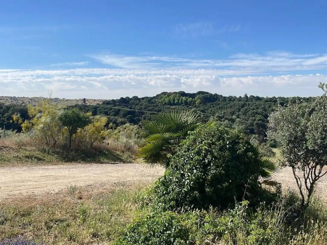 Terreno rustico in vendita a Camino de las Salinas 5, imagen 33