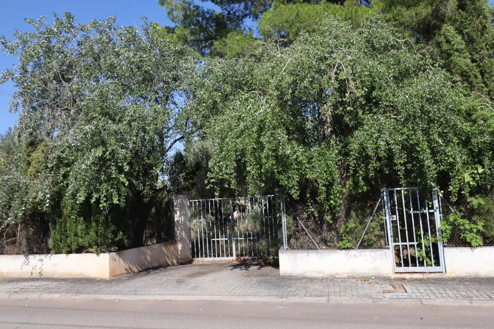 Terreno residenziale in vendita a Calle MESTRAL