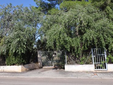 Wohnbaugrundstück zum Verkauf in Calle MESTRAL