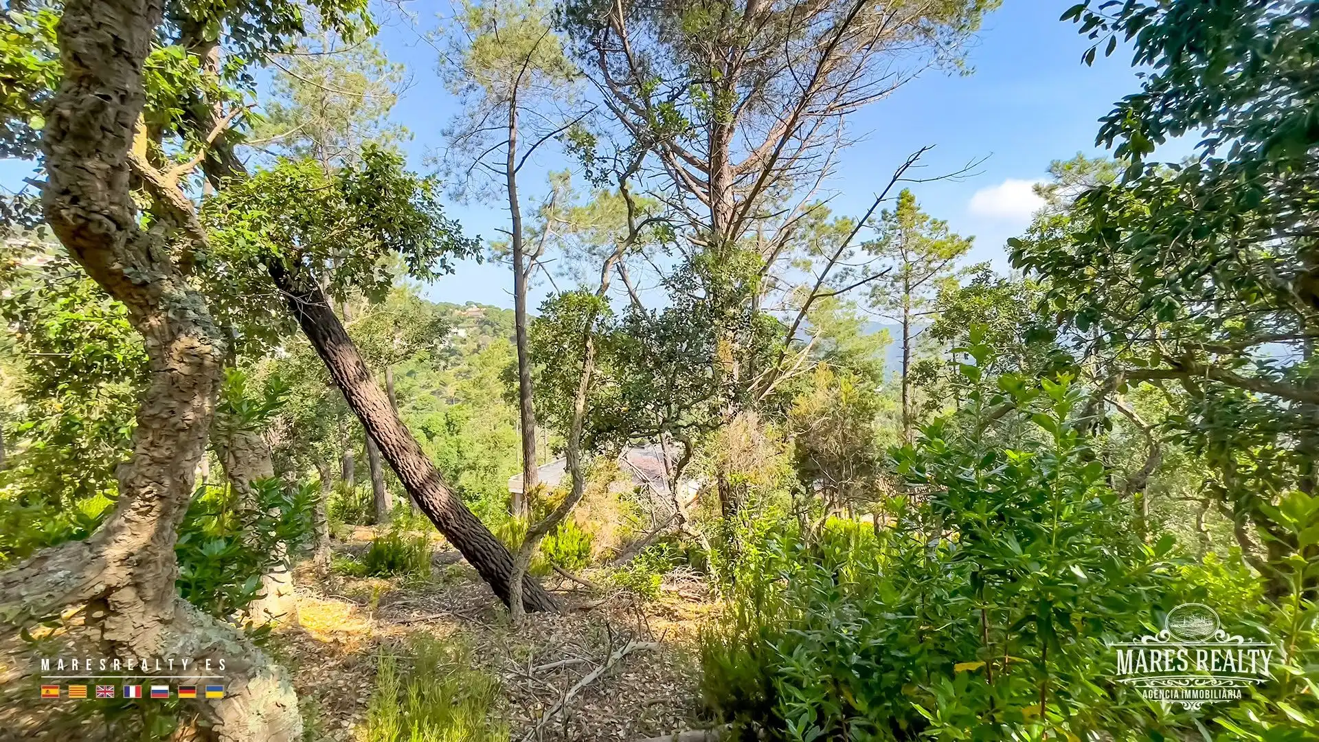 Grundstücke und Bauplätze zum Verkauf in Serra Brava, imagen 6