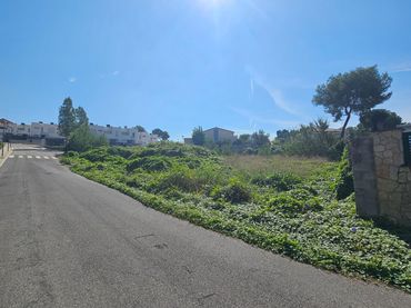 Terreny residencial en venda a Calle Dels Crisantems
