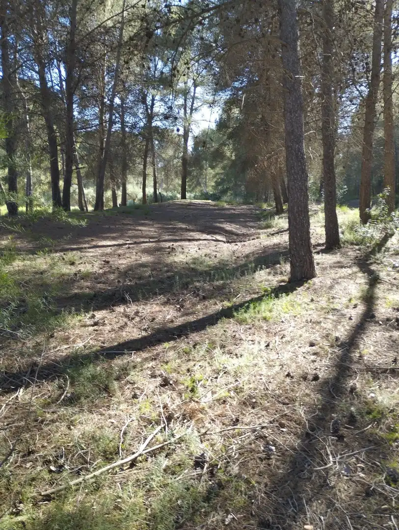 Lands and plots for sale in L'Olleria