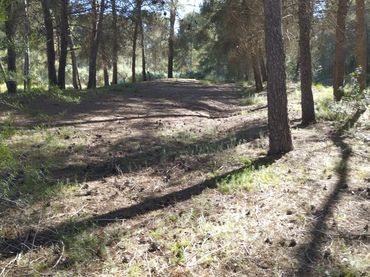 Terreni e lotti in vendita a L'Olleria