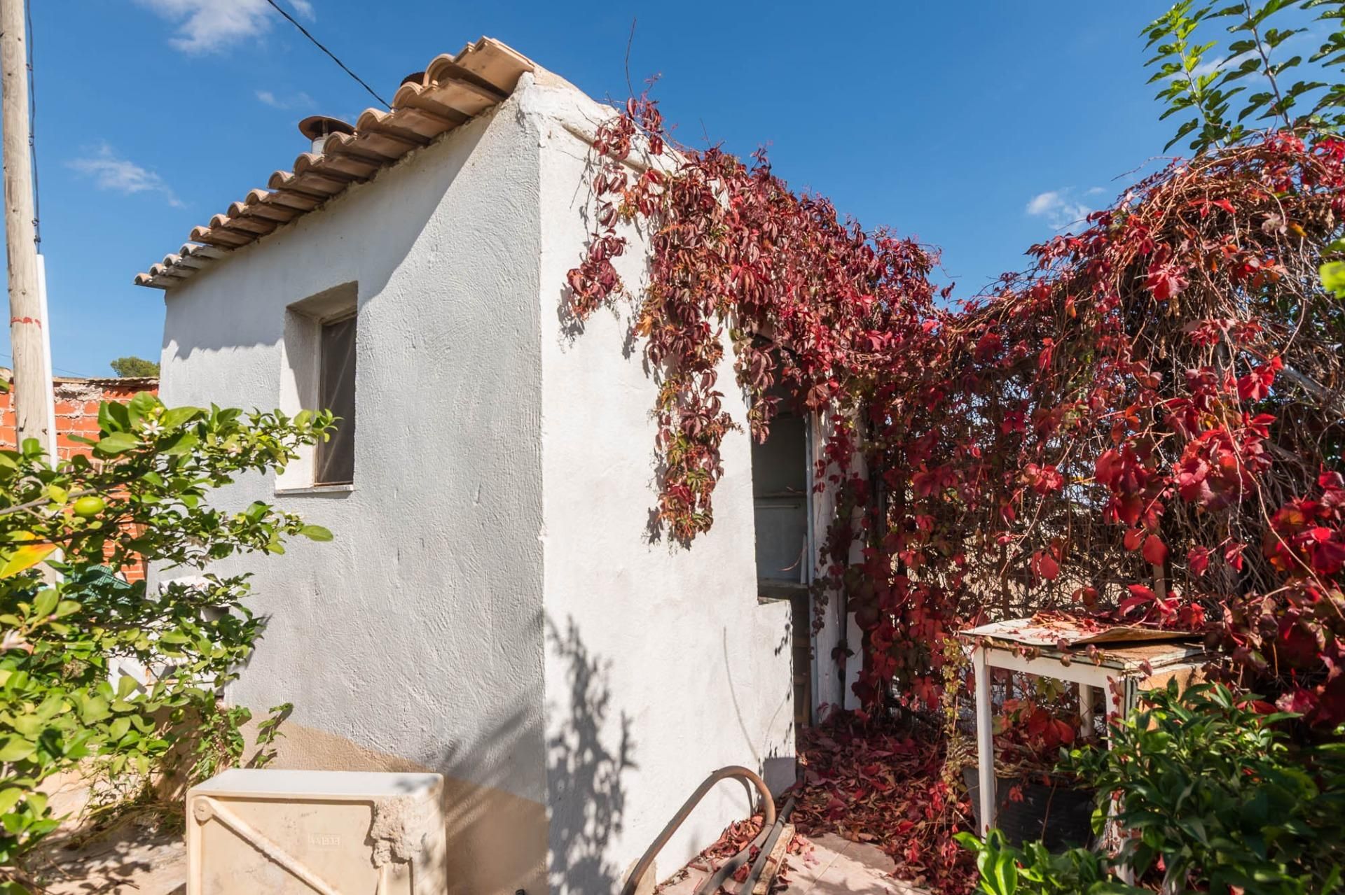 Vista exterior de Casa o chalet en venta en Abarán con Jardín privado, Terraza y Piscina