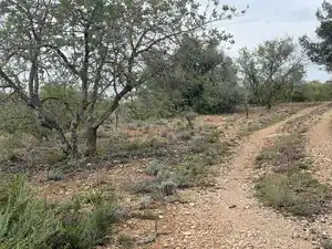 Terreno rustico in vendita a Carrer Major 22, imagen 2