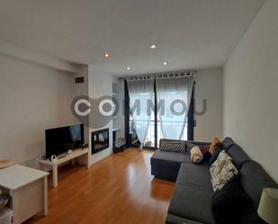 Sala d'estar de Pis en venda en Seva amb Parquet i Balcó