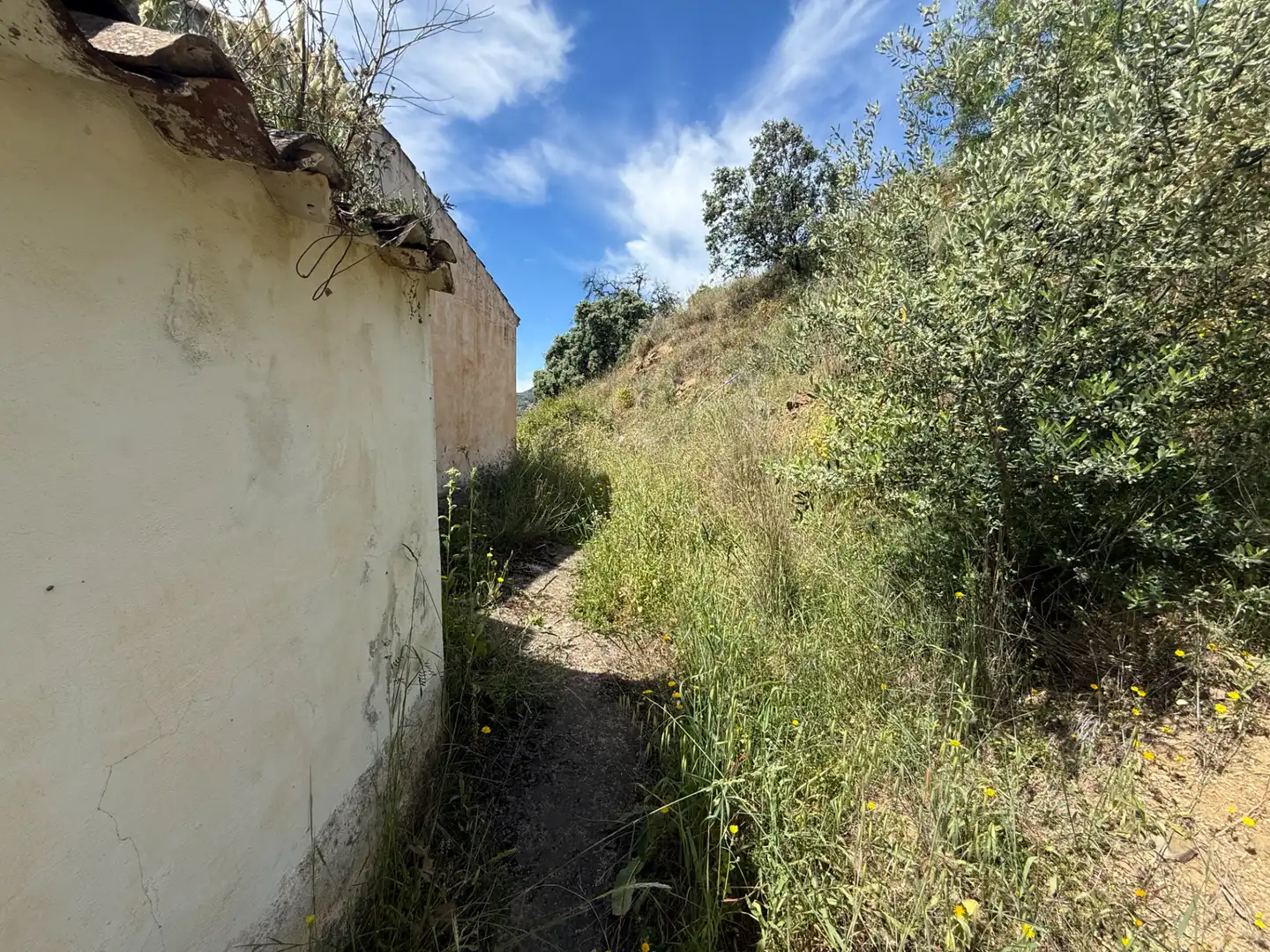 Casa o chalet en venta en Colmenar