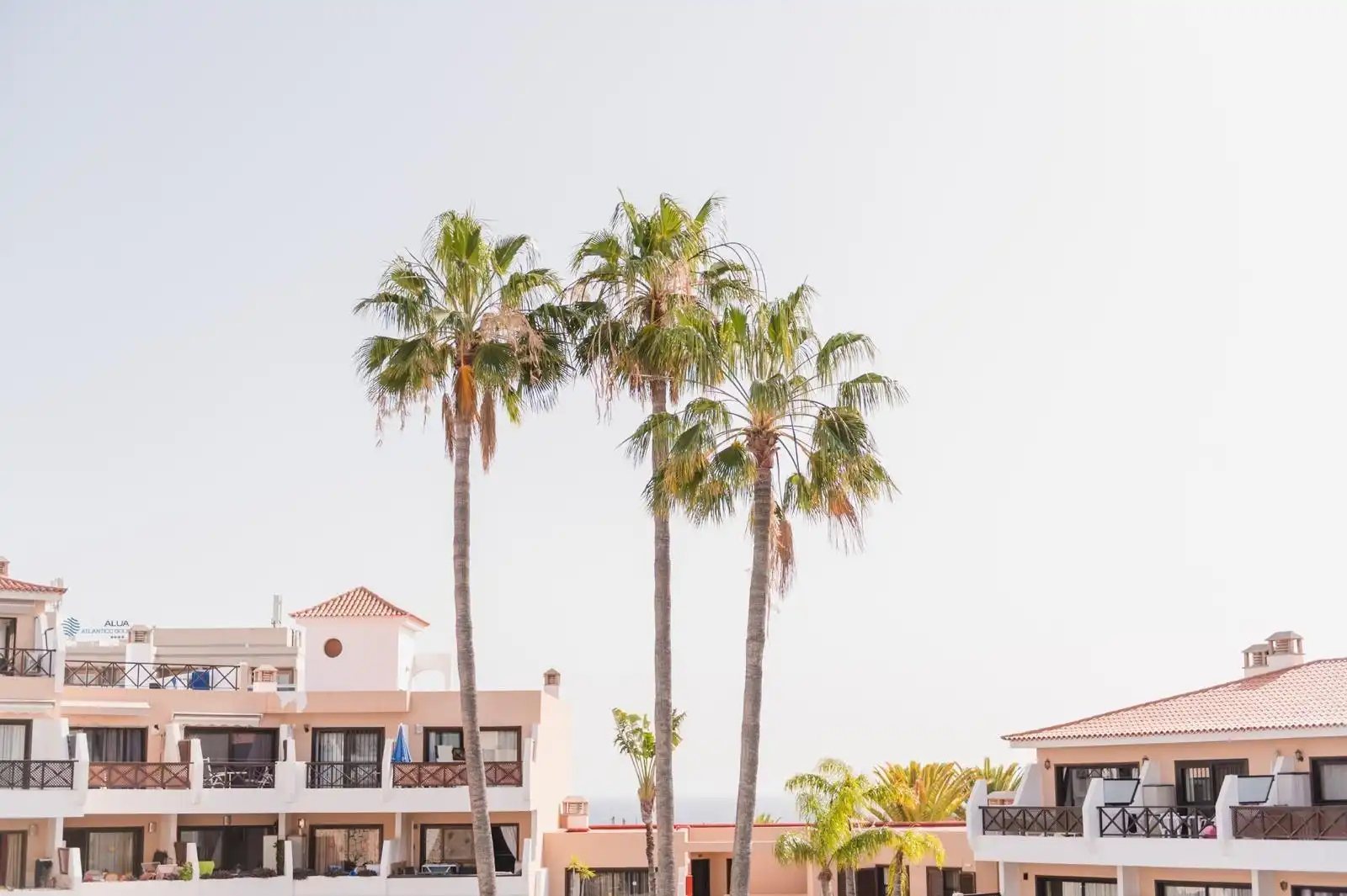 Apartament de lloguer a Avenida Avenida de José Miguel Galván Bello, 4, Golf del Sur - Amarilla Golf
