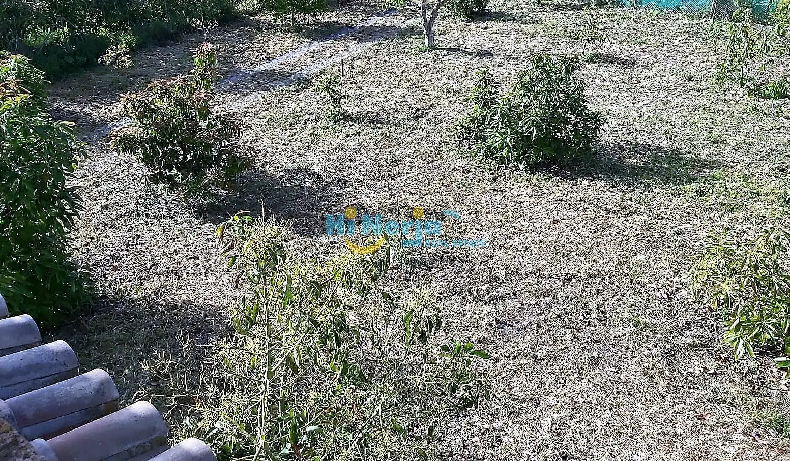 Casa amb piscina en venda a Centro, imagen 6