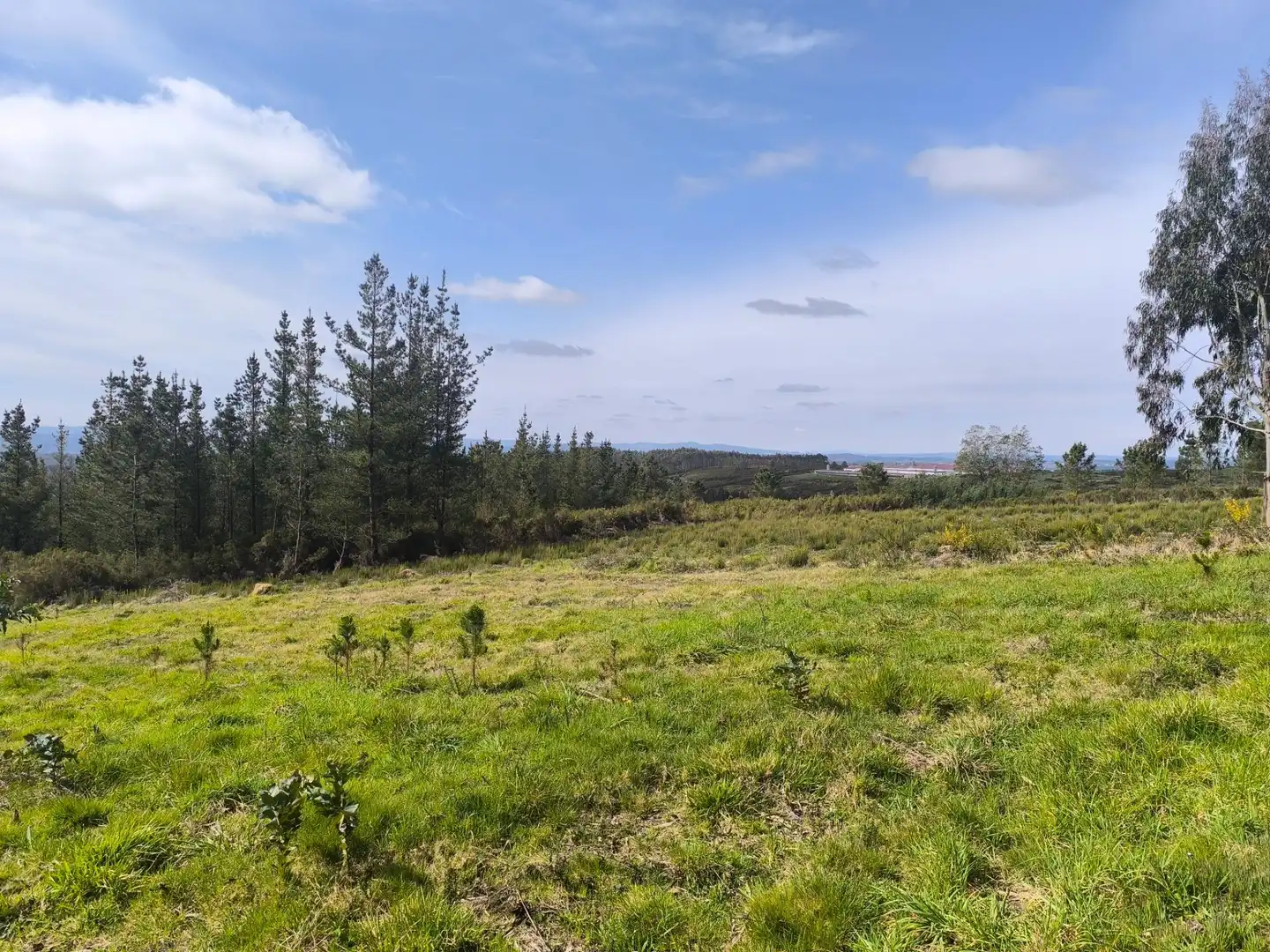 Casa o xalet en venda en Palas de Rei amb Jardí privat