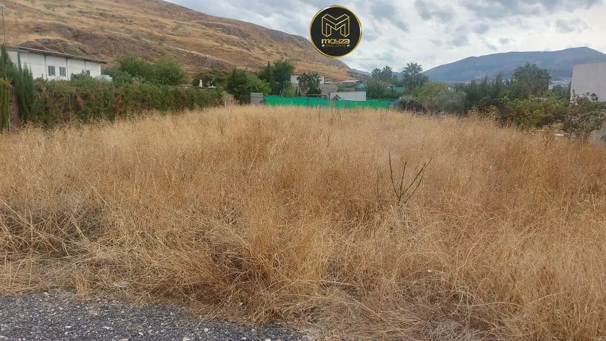 Terreni e lotti in vendita a Puente Tablas - Puente Nuevo - Cerro Molina, imagen 3