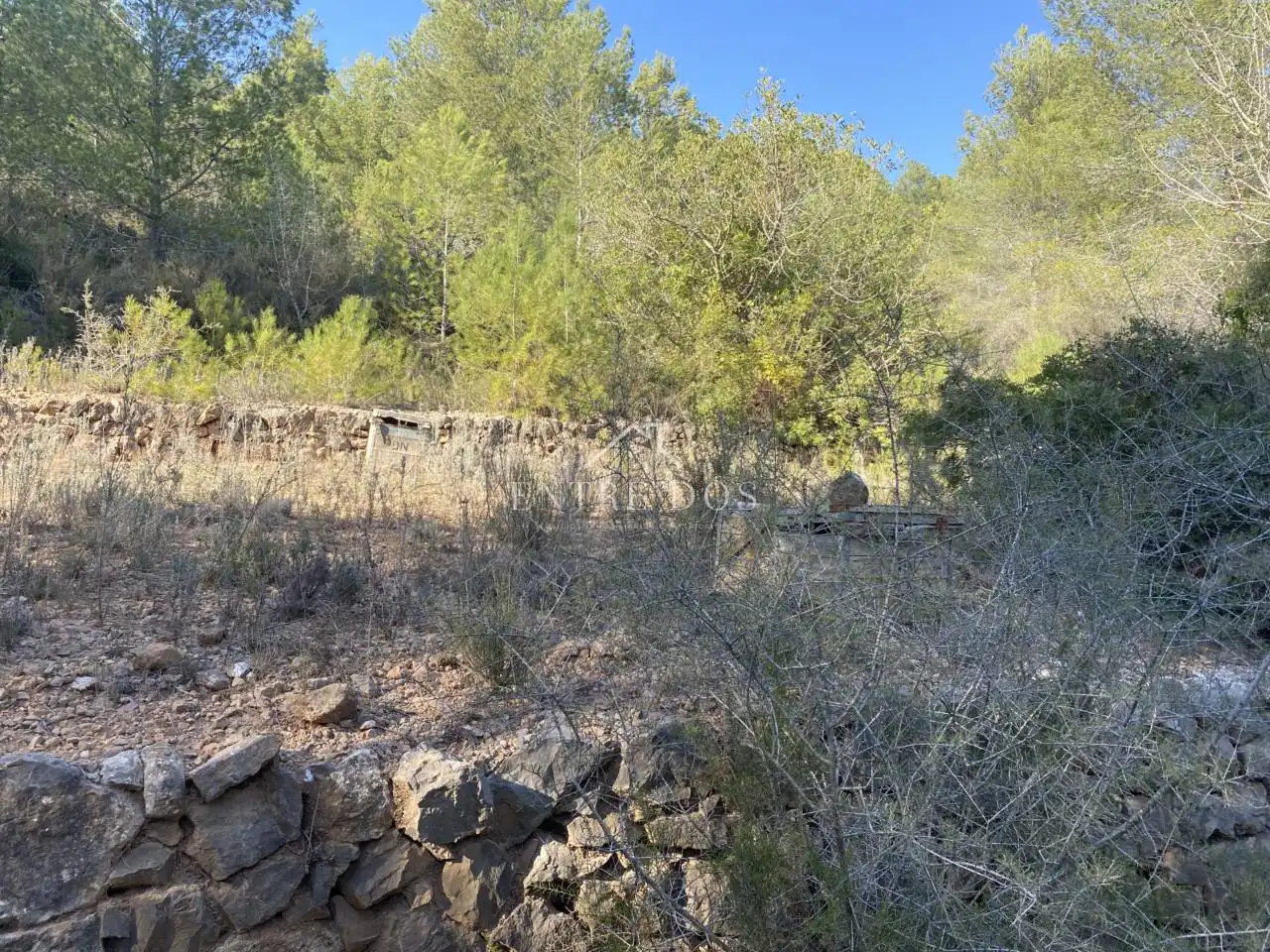 Rural land for sale in 18 parcela 79, imagen 6