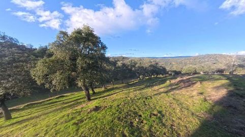 Finca Rúst. en venta en Cortegana., imagen 3