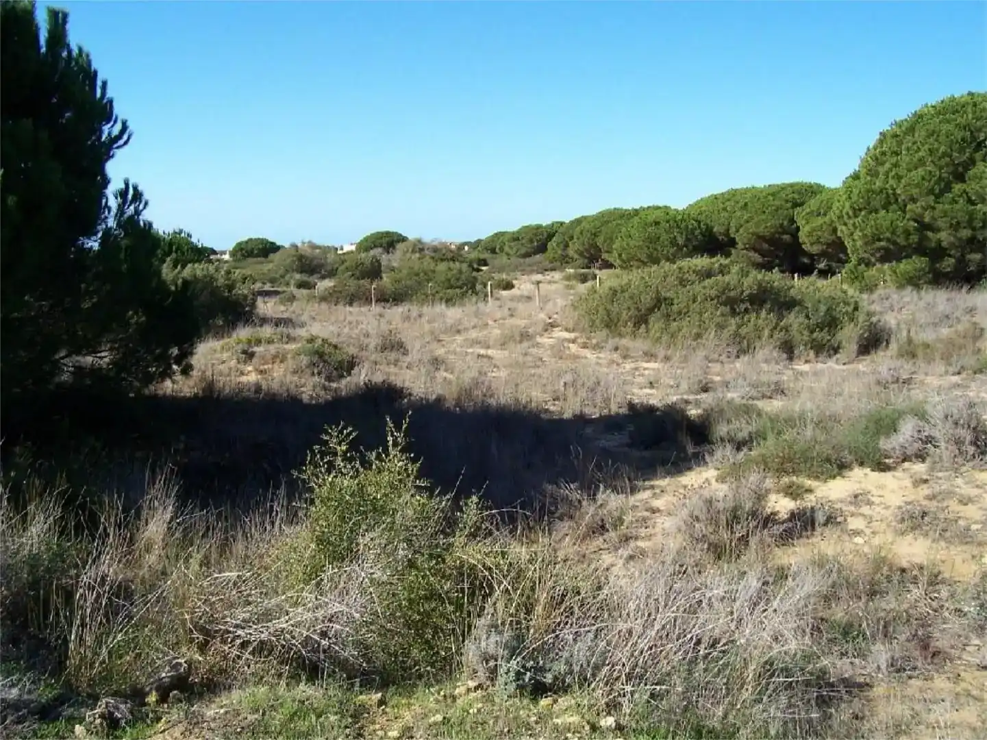 Residencial en venta en Barbate