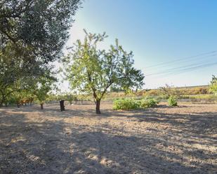 Finca rústica en venda en Atarfe