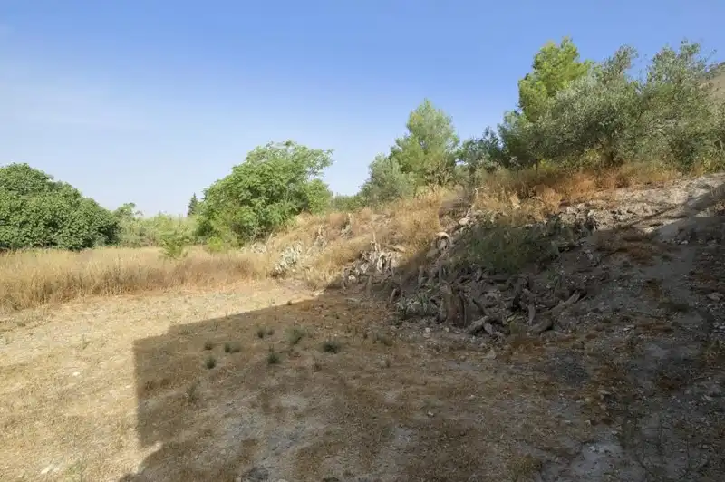 Terreni e lotti in vendita a Padul, imagen 30