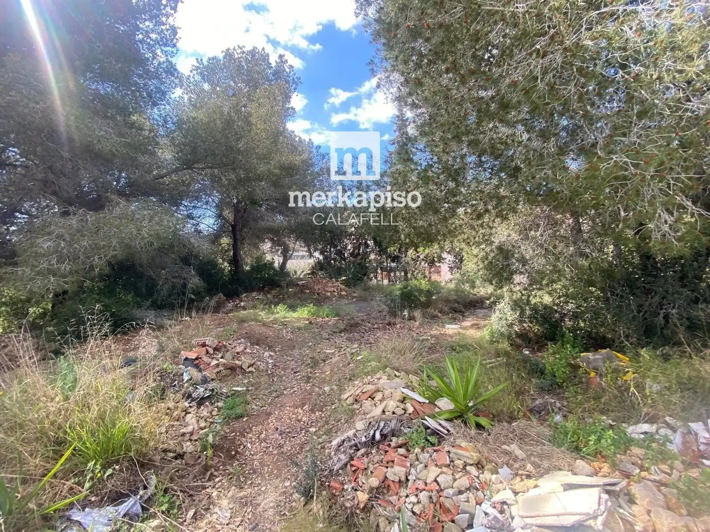 Terreny rústic en venda a Valldemar - Montmar, imagen 16