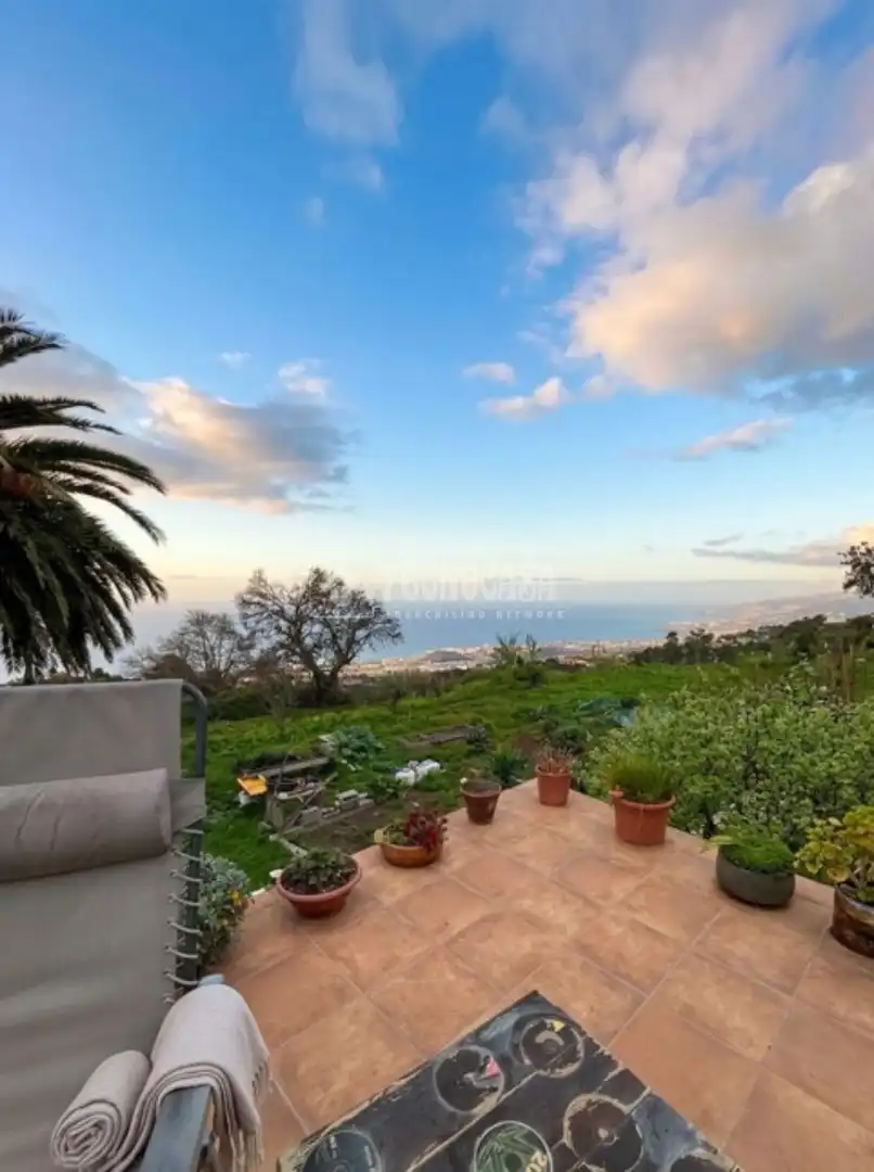 Finca rústica en venta en Palo Blanco